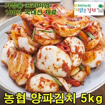 전라도 화원농협 양파김치 3kg 영양/맛 해남해풍양파 이맑은김치