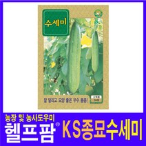 헬프팜 수세미 20립 씨앗 종자 KS종묘