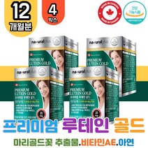 식약처 인증 루테인 골드 4박스 눈건강 영양제 캐나다 직수입 황반 색소 주름 눈피로 노화 눈이 침침할때 피곤할때 효능 눈침침 노화 노안 여성 부모님 노인 홈쇼핑 항산화 건조 보호 영양 보충 도움 보조제 LUTEIN