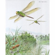 왕잠자리 한살이 세밀화로 보는 6 권혁도 세밀화 그림책, 상품명