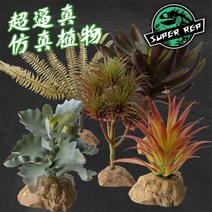비바리움 테라리움 이끼 만들기 DIY 분재 사육장 반려 실내 등반 사육 상자 사막 즙이 많은, 보스턴 고사리