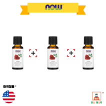 (3묶음)나우 푸드 에센셜 오일 로즈 앱솔루트 30ml (1 fl oz)