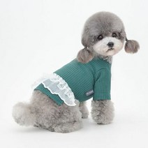 애견커플룩 기능성애견옷 산책 강아지데일리, 그린/L