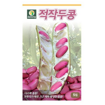 적작두콩 씨앗 30립 OK, 9개