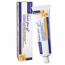 버박 뉴트리플러스겔 120.5g 무더위에 지친 강아지 고양이에게 영양제는 필수, 1통