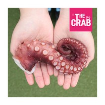 [더꽃게] 동해 포항 자숙 참문어 다리 300g, 상세 설명 참조