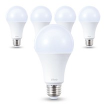 씨티오 LED 전구 15W 전구색 5개, 주광색 × 5개, 주광색 × 5개