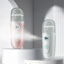 페이스스티머 얼굴마사지기 모공관리 홈케어 보습기기 분무기 휴대용, B