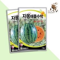 자몽 애플 수박 10립 세계종묘 과채류 씨앗, 1개