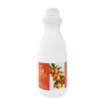네이쳐티 홈카페 각종 과일 에이드 시럽 등 카페재료, 금귤 에이드 원액 1.2KG