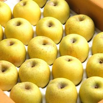 [엄지척농산물] 첫 출하! 경북 햇 시나노골드 황금사과, 1개, 시나노골드 5kg 중과(17-22)