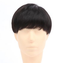 네츄럴 위그 밸런스 남자가발 CM2019, A.특대(21cm×23cm)