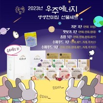 햇쌀 쌀눈 생생현미칩 선물세트, 종합5단