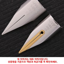 (4402770) 라미 만년필 펜촉 14K 투톤 F촉