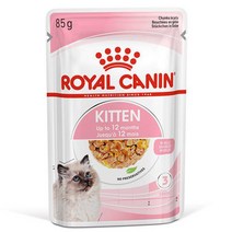 로얄캐닌 캣 습식사료 키튼 젤리 파우치 85g 고양이 주식 간식 1021459, 키튼 젤리 85g