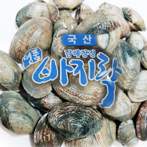 여수앤씨푸드 [생물] 여수명품 바지락, 1개, 여수명품바지락 1kg