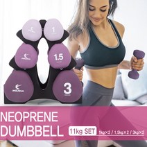 네오플랜 삼각아령 세트 11kg+보관틀 아령 3종 세트