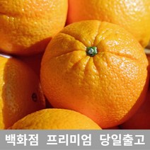 [특등급선별] 오렌지 18kg 블랙라벨오렌지 열대과일 고급과일 오렌지블랙라벨 오렌지가격 캘리포니아오렌지 블러드오렌지 오렌지씨 카라카라오렌지 네이블오렌지 썬키스트오렌지 블랙오렌지