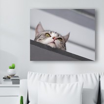 귀여운 고양이 사진 캔버스액자 (고객님 야옹이 사진으로도 제작 가능합니다), CAT04