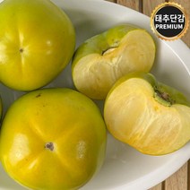 창원 태추단감 햇단감 배단감, 1박스, 3kg