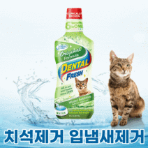 고양이 간편양치 물에타먹는치약 구강관리 필수템, 1개, 236ml