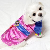 도기코디 곤색 마고자 강아지한복 고양이한복, 핑크