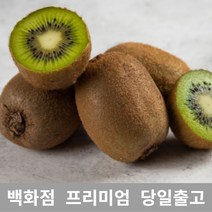 [특 등급 선별] 그린키위 4kg 키위 키위효능 레드키위 제철과일 골드키위 백향과 열대과일 참다래 골드키위효능 제스프리골드키위 제주레드키위 키위주스 골든키위 수입과일 냉동키위