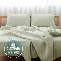 아토피협회 추천 알러지케어 이불 겸 패드 테라피 스프레드 SS, 그린티
