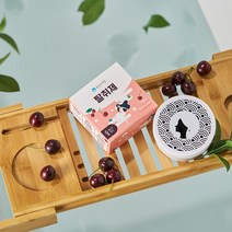 1+1 화장실 악취 제거 탈취제 3종 택1, 블랙체리