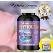 로얄 캐네디언 캐나다 파이토젠 400mg 300정 1개+석청꿀1kg 캐나다 식약처인증 리그난 아마씨