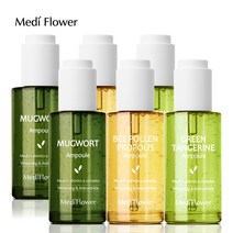 [KT알파쇼핑][1+1]메디플라워 대용량 유산균 앰플 50ml 3종 (사철쑥/청귤/비폴렌), 유산균 사철쑥 앰플 50ml+비폴렌 앰플 50ml