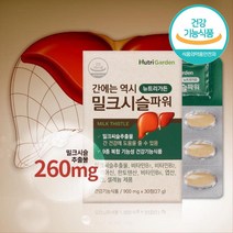 직장인 간 피로 개선 밀크씨슬 영양제 간영양제 밀크시슬 운동선수 밀크씨술 간수치낮추는 중년남성선물