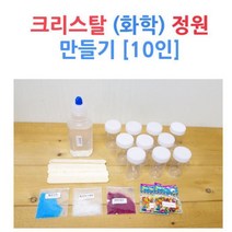 크리스탈 (화학) 정원 만들기 (10인) 과학준비물 방과후교실 실기시험 교육장난감 과학기자재 어린이집교구