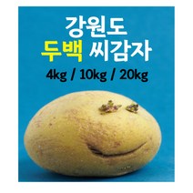 [한가락몰] 감자 20kg / 대 / 식자재용 대용량 벌크