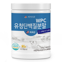 백세식품 WPC 유청단백질 분말 500g통 50일분, 500g 1통, 500g, 1개