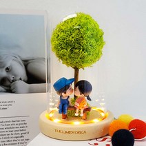 알콩달콩 유리돔 무드등 여자친구 생일축하 프로포즈 기념일 커플 선물, 선택완료