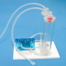 (사이언스마켓)ssc 물의 전기분해장치