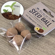 봉선화 키우기 키트 씨앗심기 초등 유치원 텃밭 식물 기르기 재료, 단품