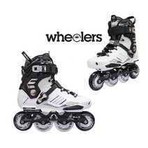 [SW] 롤러 스케이트 성인 롤러 스케이트 인라인 스케이트 초급 남성 및 여성 롤러 스케이트 신발 전체 세트, 43, 색깔1