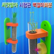 GW753EDF LED형 체험학습 초등학교교구 보리 벽걸이화분 씨앗키우기 1인용 과학실험 시험관 씨앗발아 기
