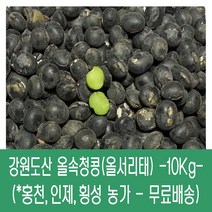 농부애뜻 국산 22년산 햇 콩나물콩 노란 콩나물 콩 유태, 1팩, 500g(노란)