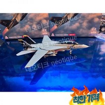 전투기 모형 합금 항공기 F14 완제품 장식, 폭탄 고양이 상징 F14D