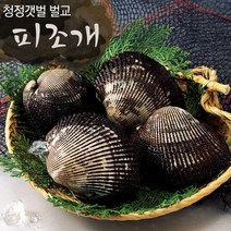 보성 벌교여자만 피꼬막 2kg (특품)/산지직송, 02. 피꼬막 2kg (특품), 상세설명 참조
