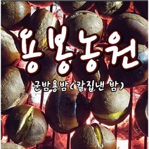 밤 알밤 햇밤 군밤 칼집밤 가장 잘까지는 뜨래밤 공주 칼집 뜨래밤 - 특 1Kg