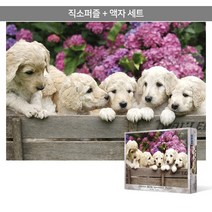 1000피스 직소퍼즐+액자세트 - 옹기종기 레브라도 (액자포함), 단품, 단품