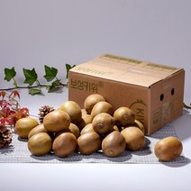 대농여지도 보성 프리미엄 유기농 골드키위 2kg, 대(18~22수)