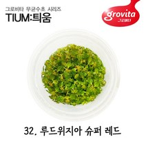무균수초 판타날 레드 핀네이트/액상배지, 개