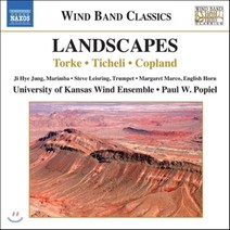 [CD] Paul W. Popiel 토키: 모하브 / 코플랜드: 조용한 도시 / 티첼리: 아메리칸 엘레지 - 관악 앙상블집 (Landscapes - Tork...