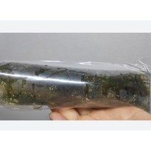 미크로소리움 활착 새우 구피 베타 포트 음성 초보 어항 수초 키우기 나나 미크로소리움 웬델롭 2개