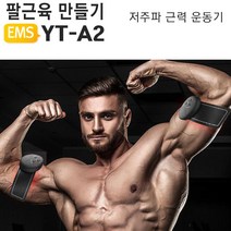 야토 EMS 저주파 근력운동기, 팔근육용 YT-A2, 1개